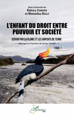 Cover L'enfant du droit entre pouvoir et société Tome 1 (eBook, PDF)