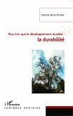 Plus loin que le développement durable : la durabilité (eBook, PDF)