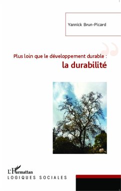 Cover Plus loin que le développement durable : la durabilité (eBook, PDF)