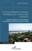 Le développement durable à l'épreuve de la politique concrète (eBook, ePUB)