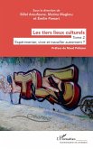 Les tiers lieux culturels (eBook, PDF)