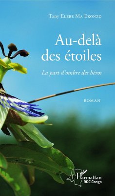 Cover Au-delà des étoiles. La part d'ombre des héros (eBook, PDF)