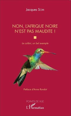 Cover Non, l'Afrique noire n'est pas maudite (eBook, PDF)