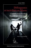 Délinquance et incivilités au Maroc (eBook, ePUB)