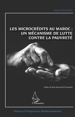Cover Les microcrédits au Maroc : (eBook, ePUB)