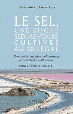 Le sel, une roche sédimentaire cultivée au Sénégal (eBook, PDF) - Faye
