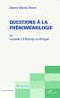 Questions à la phénoménologie... - Bild 1
