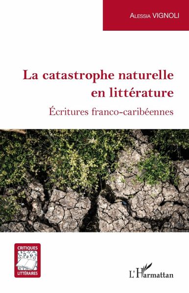 La catastrophe naturelle en littérature (eBook, ePUB)