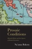 Prosaic Conditions (eBook, PDF)