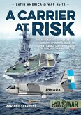 Carrier at Risk (eBook, ePUB)