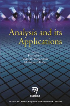 Analysis and its Applications (eBook, PDF)