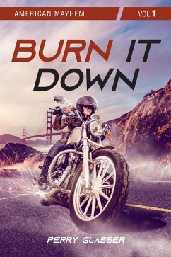 Burn It Down (eBook, ePUB) - Glasser, Perry