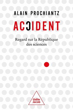 Cover Accident (eBook, ePUB)