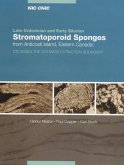 Late Ordovician and Early Silurian stromatoporoid sponges from Anticosti Island, eastern Canada (eBook, PDF)