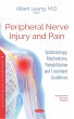 Peripheral Nerve Injury and Pain:... - Bild 1