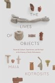 Lives of Objects (eBook, ePUB) Lives of Objects (eBook, ePUB)