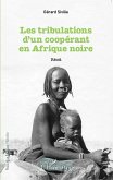 Tribulations d'un coopérant en Afrique noire (eBook, PDF)