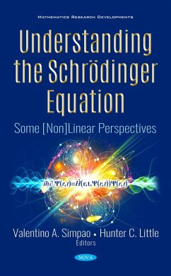 Understanding the Schrodinger Equation: Some [Non]Linear Perspectives (eBook, PDF)