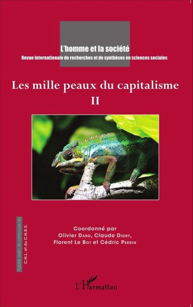 Les mille peaux du capitalisme Tome 2 (eBook, PDF) Les mille peaux du capitalisme Tome 2 (eBook, PDF)