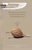 Old Babylonian Texts from Dilbat, Sippar, and Other Places (eBook, PDF)