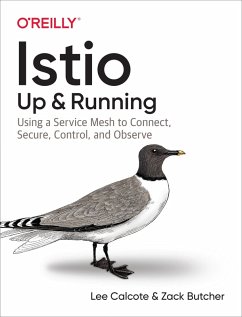 Cover Istio: Up and Running (eBook, PDF)