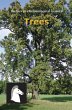 Trees (eBook, PDF) - Bild 1