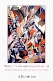 Multicultural American Literature (eBook, PDF)