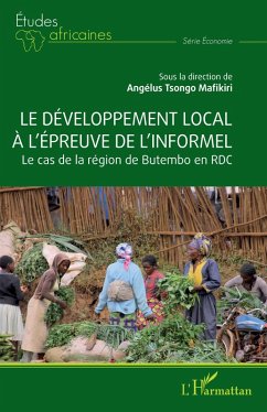 Le développement local à l'épreuve de l'informel (eBook, PDF)