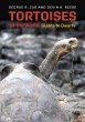 Tortoises of the World (eBook, ePUB) - Bild 1