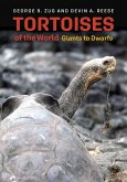 Tortoises of the World (eBook, ePUB)