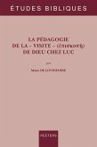 La pedagogie de la visite de Dieu chez Luc (eBook, PDF)