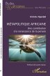 Métapolitique africaine (eBook, PDF) - Bild 1