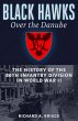 Black Hawks over the Danube (eBook,... - Bild 1