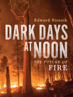 Dark Days at Noon (eBook, PDF) - Struzik, Edward