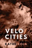 Velocities (eBook, ePUB)