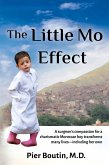 Little Mo Effect (eBook, ePUB) Little Mo Effect (eBook, ePUB)