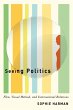 Seeing Politics (eBook, ePUB) - Bild 1
