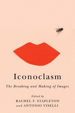 Cover Iconoclasm (eBook, PDF)