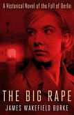 Big Rape (eBook, ePUB)