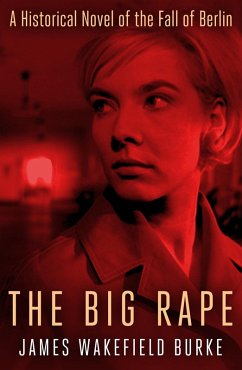 Cover Big Rape (eBook, ePUB)