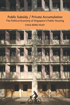 Cover Public Subsidy, Private Accumulation (eBook, PDF)