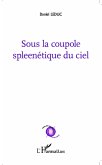 Sous la coupole spleenétique du ciel (eBook, PDF) Sous la coupole spleenétique du ciel (eBook, PDF)