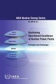 Sustaining Operational Excellence at Nuclear Power Plants (eBook, ePUB)