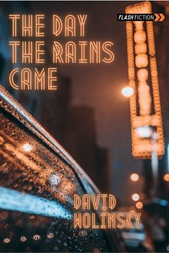 Day The Rains Came (eBook, PDF) - Wolinsky, David