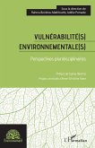 Vulnérabilité(s) environnementale(s) (eBook, ePUB)