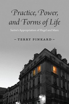 Practice, Power, and Forms of Life (eBook, ePUB) - Terry Pinkard, Pinkard