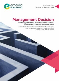 Strategy and Change Interface (eBook, PDF)