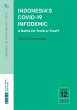 Indonesia's COVID-19 Infodemic (eBook,... - Bild 1