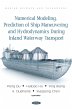 Numerical Modeling, Prediction of Ship... - Bild 1