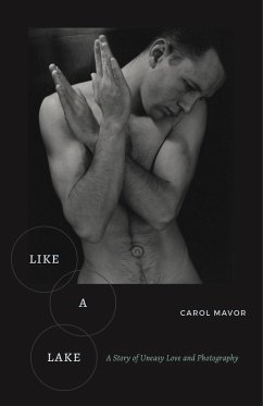 Like a Lake (eBook, PDF) - Mavor, Carol